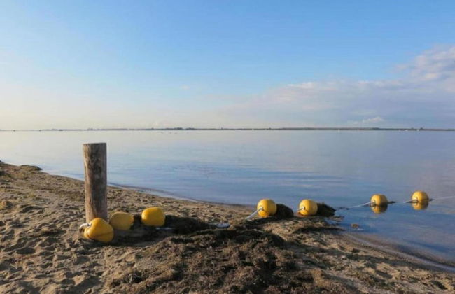 Bungalow by Water Near Rotterdam and Zeeland - Foto 26