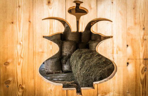 Agritur Ciasa Dò Parè - Foto 43