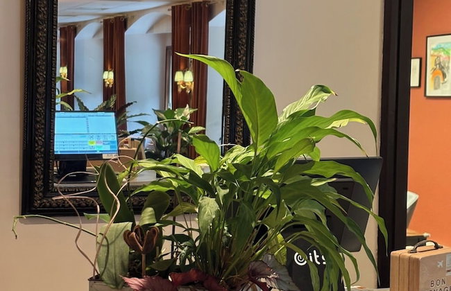 Appart'Hotel Castel Emeraude, Charme et Caractère - Foto 100