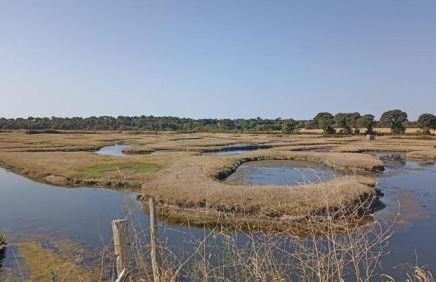 Le Clos de la Guittiere - 6 personnes - Foto 28