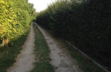 Società agricola le more Agriturismo La Dondina - Photo 13