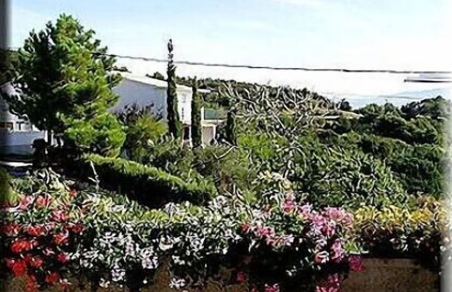 Damir - Free Parking & BBQ - A3 - Foto 15