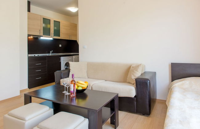 TSB Sunny Victory Apartments - Photo 5