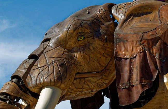 Visite privée dans Nantes - Photo 3