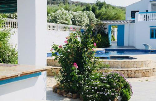 The Dragonfly Retreat - Photo 9