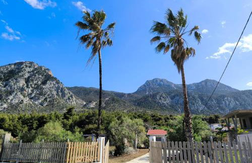 Palm tree house by the beach - Foto 35