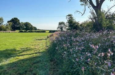 The Granary - Foto 9