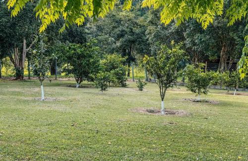 Refúgio Natureza - Lazer completo para sua família - Foto 32