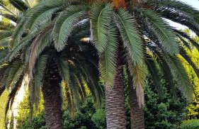 Apartman Lanterna - Photo 20