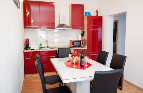 Dalmatian - Photo 27