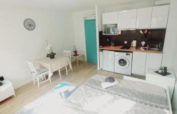 STUDIO NEUF PARKING SECURISE Direct CDG et PARIS CENTRE Parc expo Villepinte & Arena Grand Paris - Foto 9