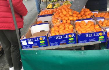 Manoir de Damigny - Photo 50