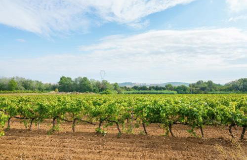Cottage in Pacs near St Marti Sarroca Castle - Foto 26
