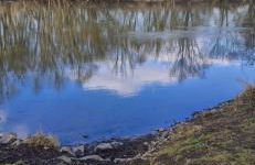 Ferienwohnung Halle/Lettin - Foto 13