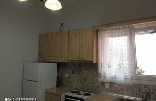 Angelik Ipsos no5 - Photo 7