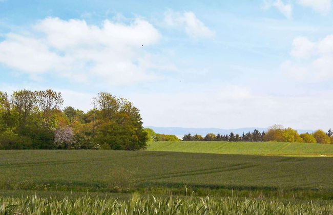 20 Person Holiday Home in Nordborg-by Traum - Foto 40