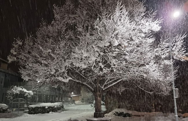 Das Taubenhaus - Foto 43