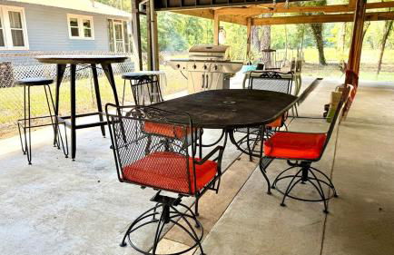 Country Retreat with ponds-views-porches & pups - Foto 27