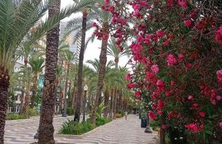 La CASA de Kevin - Torrevieja - Foto 37