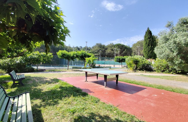 La Manne - Bormes les Mimosas - Foto 27