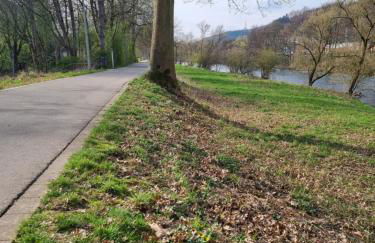 Bommecke am AquaMagis - Foto 33