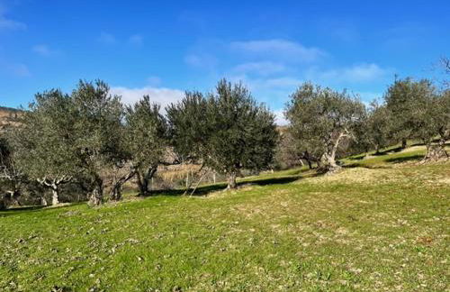 Terrace house ! - Photo 49