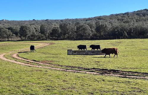 Casa Juana Michibert - Foto 14