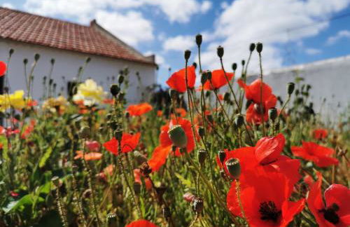 AL MAR Guesthouse - Foto 5