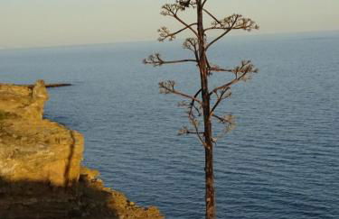 Casa Afonso Henriques - Foto 66