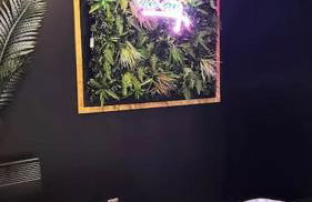 Vice City Expérience urbaine et romantique - Foto 6