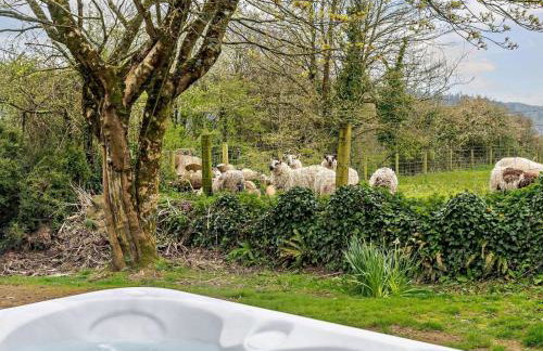 1 Bed in Ilfracombe oc-91652 - Photo 22