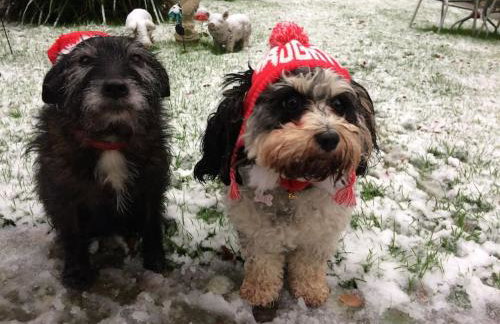 The Studio, Ascot - Foto 25