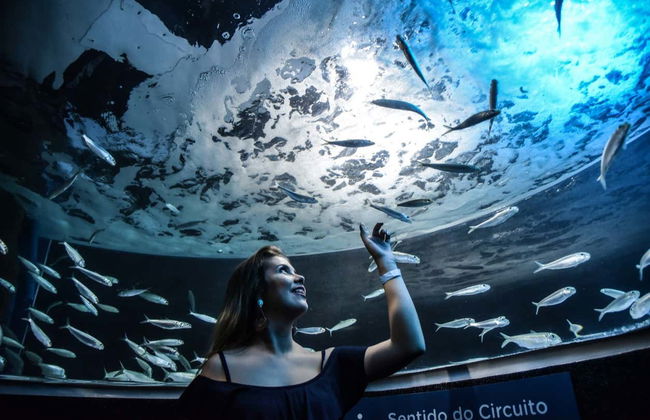 Olympic Boulevard Tour and AquaRio - Photo 1