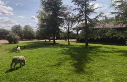 Casas Rurales Tabla Honda - Foto 45