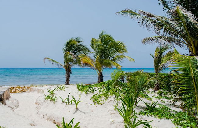 Villas Posada Xaguar by ChezPlaya - Photo 69