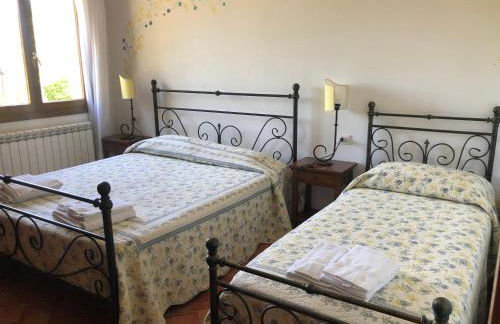 Il Gufo del Chianti - Foto 14