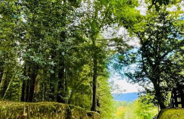 Apartamento en Comillas-Garden Apartment in Comillas - Foto 30