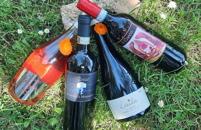 Agriturismo Il Cocco - Foto 28