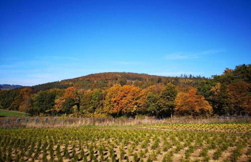 Ferienwohnung am Kreuzfelsen - Foto 7