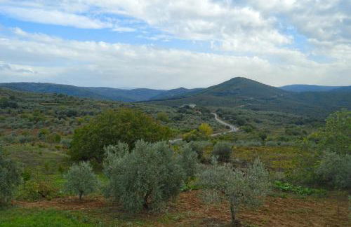 Casa Rural Los Olivos - Foto 8