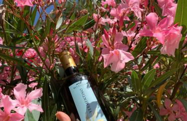 Podere Cerciano - Foto 64