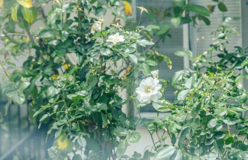 Bright & Cozy Getaway-10min to Downtown LA - Foto 64