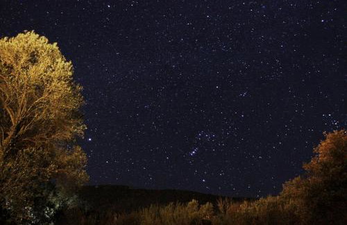 Holiday Home Ruby - Foto 66