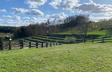 Jeleńczówka Alte Dorfschule - Foto 30
