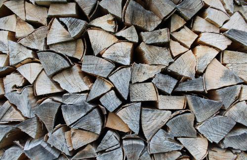 Haus Erlenmoos - Foto 18