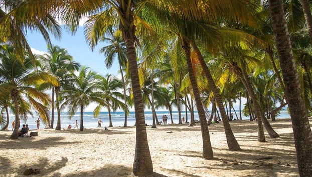 Don't waste a second on your visit to Guadeloupe!