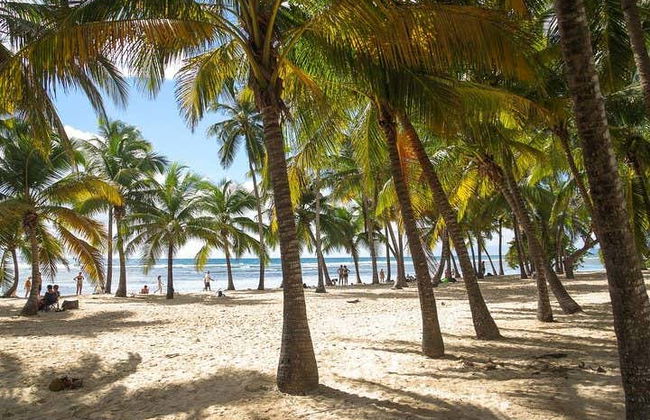 Guadeloupe Private Tour - Photo 3