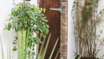 Jungle Lodge - Foto 4