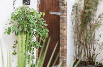 Jungle Lodge - Foto 4