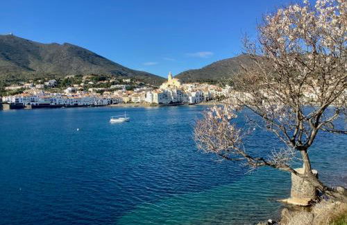 FONOLL MARÍ - ROSES FAR - Photo 18